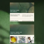 Nucleus template page preview - about & news